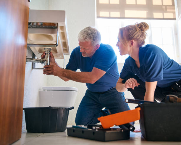 Best Clogged Drain Plumber  in Searles Valley, CA